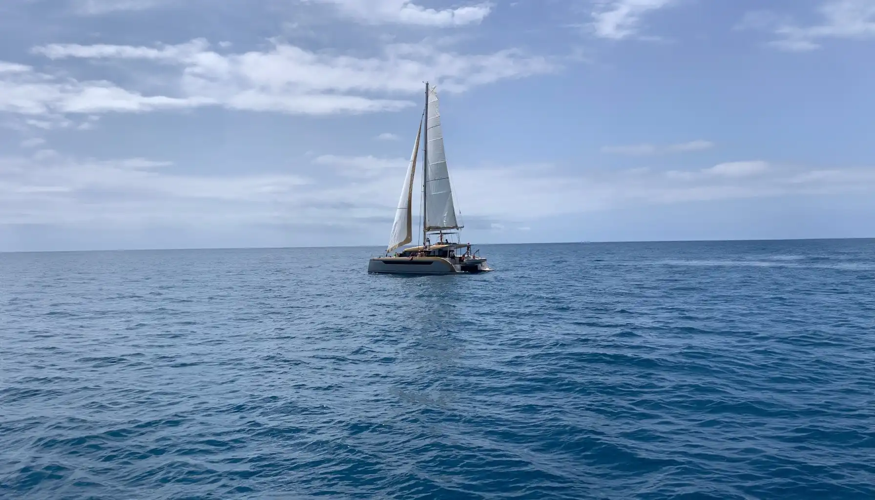 Luna Catamarans 49 Gold